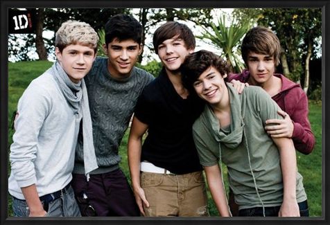 Framed Framed Beautiful Boys in the Garden - One Direction