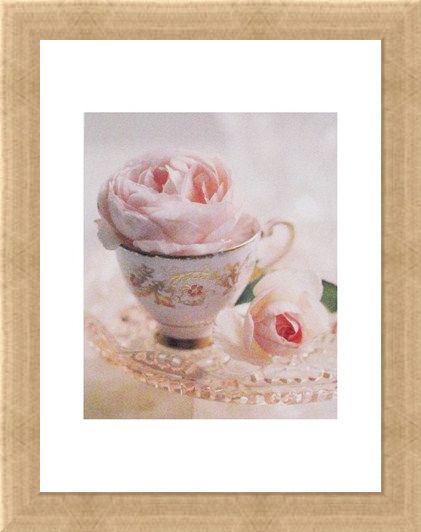 Framed Framed Pale Pink II - Lina Ricci