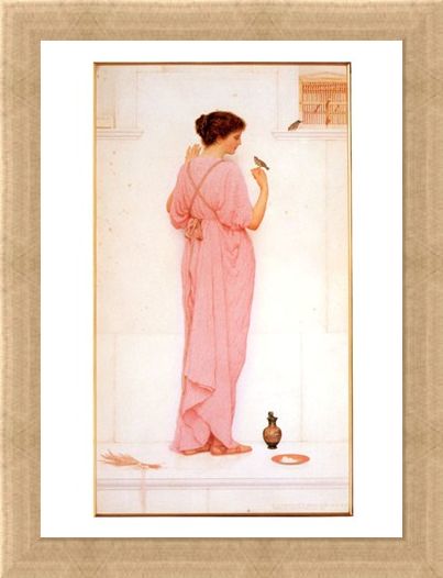 Framed Framed Song Birds - George Lawrence Bulleid