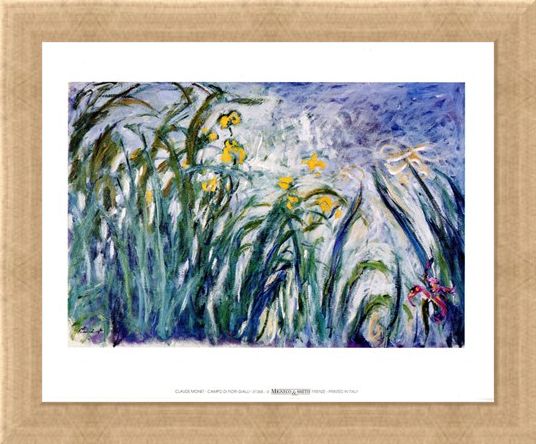 Framed Framed Campo Di Fiori Gialli - Claude Monet