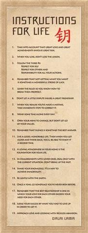 Framed Framed Instructions for Life - According to the Dalai Lama