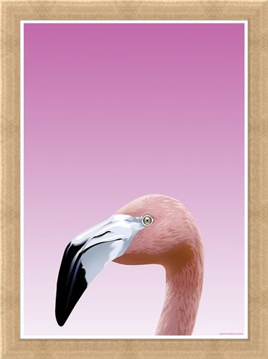 Framed Framed Flamboyant Flamingo - Inquisitive Creatures