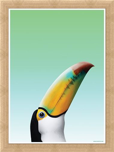 Framed Framed Toucan - Inquisitive Creatures