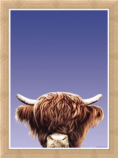 Framed Framed Hairy Highland - Inquisitive Creatures