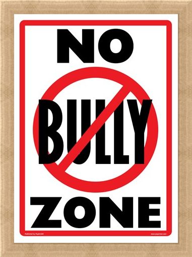 Framed Framed No Bully Zone - Playground Rules