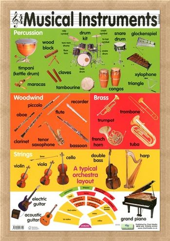 Musical Instruments, Educational Children's Chart Poster - Buy Online