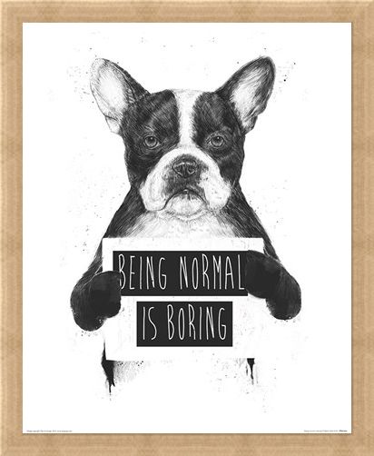 Framed Framed Being Normal Is Boring - Balazs Solti