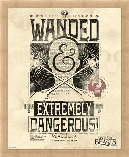 Framed Framed Extremely Dangerous - Fantastic Beasts