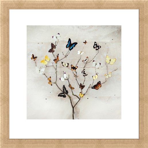 Framed Framed Tree of Butterflies - Ian Winstanley