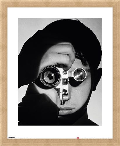 Framed Framed Dennis Stock - Camera - Time Life
