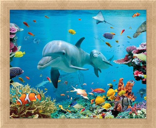Framed Framed Tropical Ocean - Sea Creatures