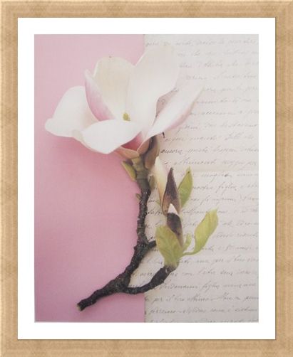 Framed Framed Emma's Garden Magnolia - Deborah Schenck