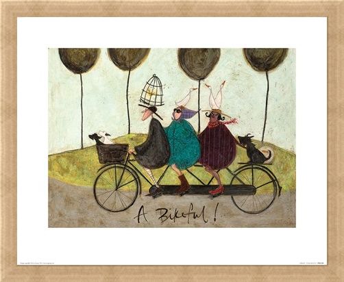 Framed Framed A Bikeful! - Sam Toft
