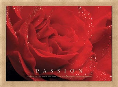 Framed Framed Rose Bloom - Passion, Inspirational