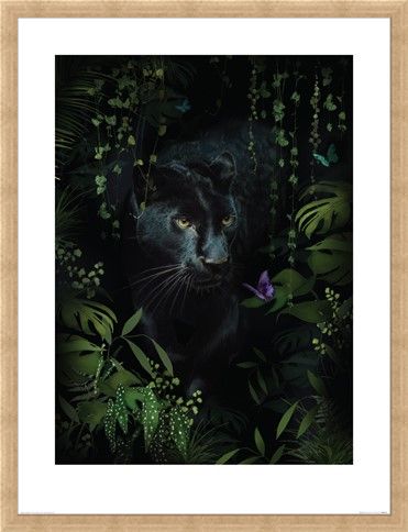 Framed Framed Panther - Summer Thornton