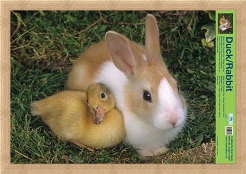 Framed Framed Best Friends - Duck And Rabbit