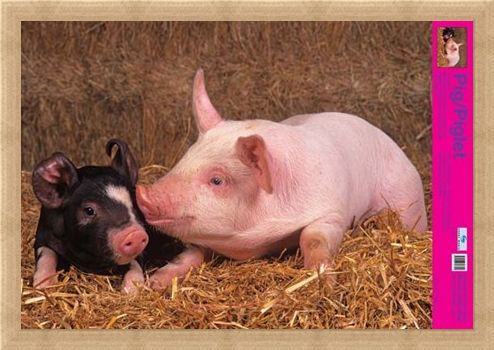 Framed Framed Curly Tailed Cutie - Piglets
