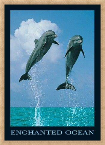 Framed Framed Dolphins Jumping - Enchanted Ocean