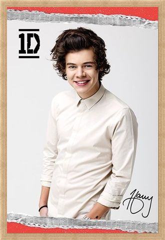 Framed Framed Harry - One Direction