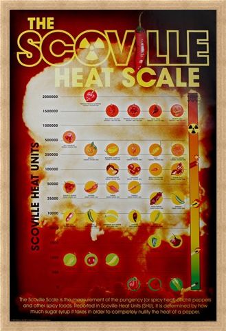 Framed Framed How Hot Can You Handle It? - The Scoville Heat Scale