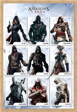 Framed Framed The Brotherhood Evolution - Assassins Creed