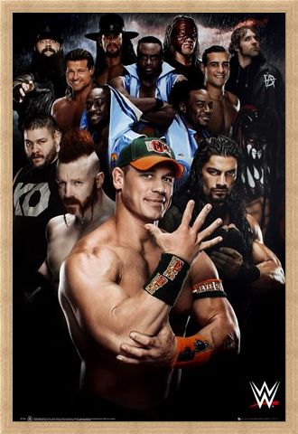 Framed Framed Superstars 2016 - WWE