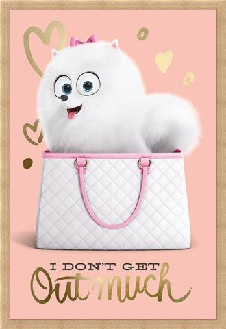 Framed Framed I Don't Get Out Much - The Secret Life Of Pets