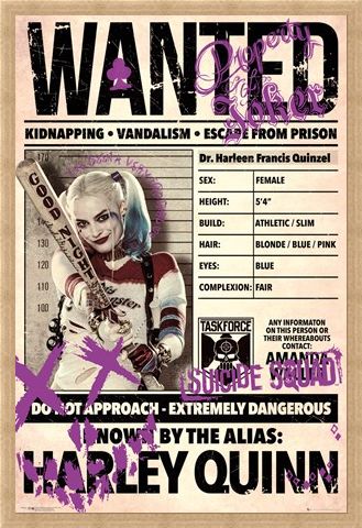 Framed Framed Harley Wanted - Suicide Squad