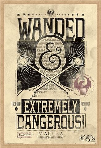 Framed Framed Extremely Dangerous - Fantastic Beasts