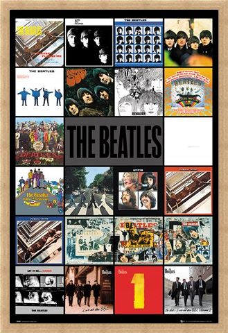 Framed Framed Albums - The Beatles