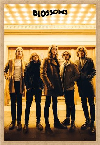 Framed Framed Band Line-up - The Blossoms