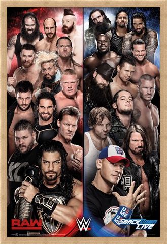 Framed Framed Raw vs Smackdown - WWE