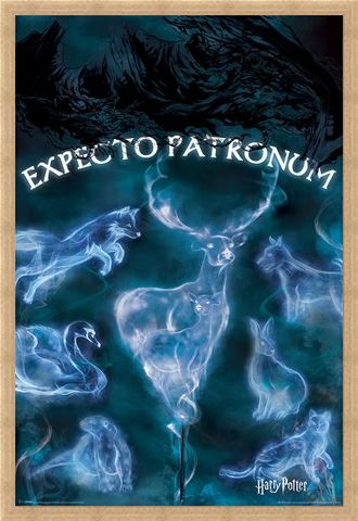 Framed Framed Expecto Patronum - Harry Potter