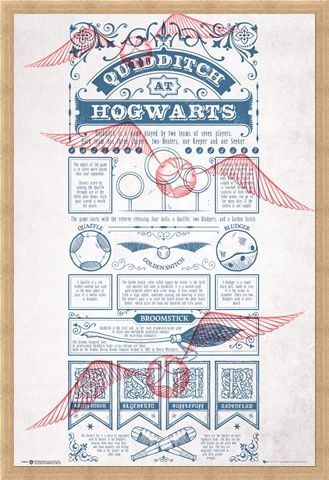 Framed Framed Rough Game, Quidditch - Harry Potter