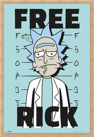 Framed Framed Free Rick - Rick and Morty