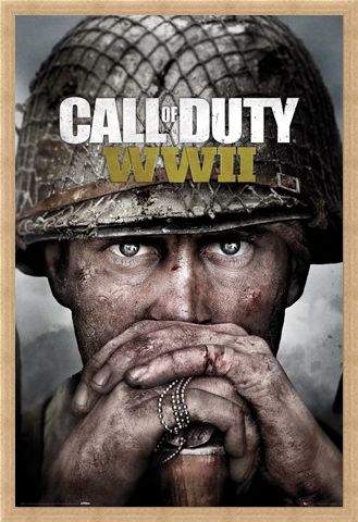 Framed Framed Stronghold WWII Key Art - Call Of Duty