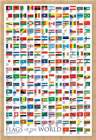 Framed Framed Flags Of The World - Educational