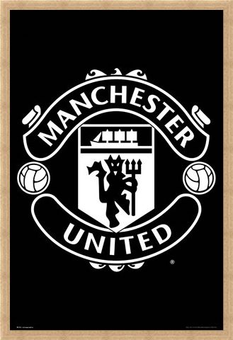 Framed Framed Crest 17-18 - Manchester United