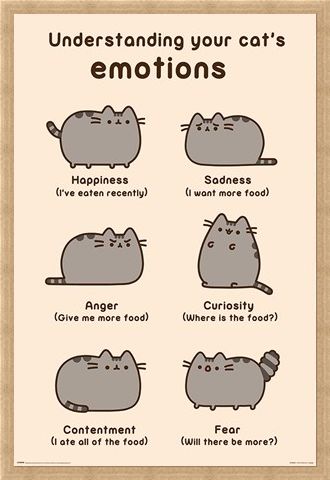 Framed Framed Cats Emotions - Pusheen