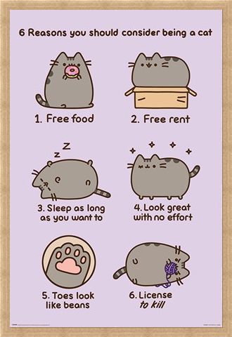 Framed Framed Reasons To Be A Cat - Pusheen