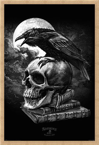 Framed Framed Poe's Raven - Alchemy