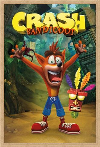 Framed Framed Crash and Aku Aku - Crash Bandicoot