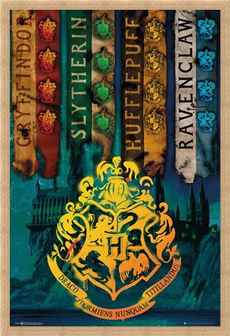 Framed Framed House Flags - Harry Potter
