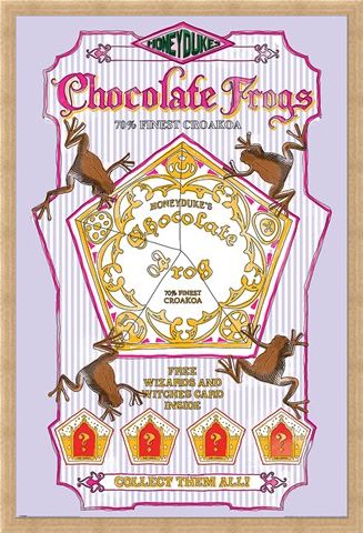Framed Framed Honeydukes Chocolate Frogs - Harry Potter