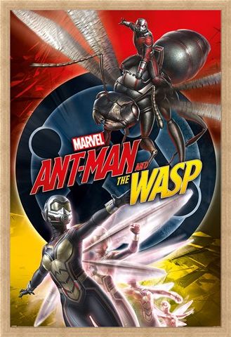 Framed Framed Ant-Man and The Wasp - Marvel