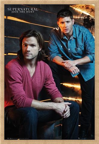 Framed Framed The Winchester Brothers - Supernatural
