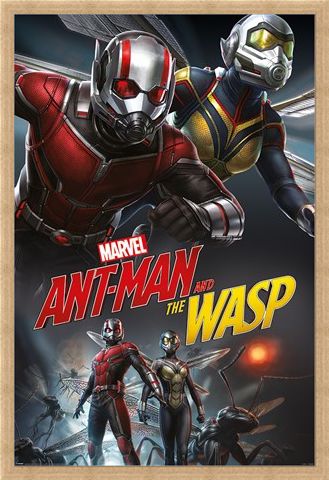 Framed Framed Ant-Man and The Wasp Dynamic - Marvel