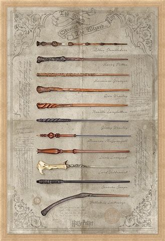 Framed Framed The Wand Chooses The Wizard - Harry Potter