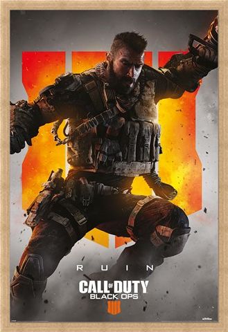 Framed Framed Ruin - Call Of Duty: Black Ops 4