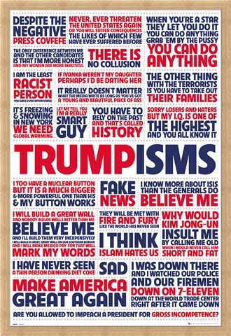 Framed Framed Trumpisms - President Trump